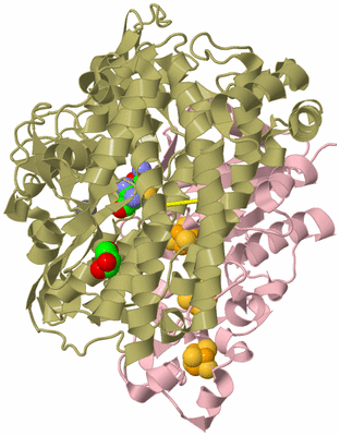 Image Biological Unit 3