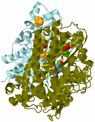 Image Biological Unit 4