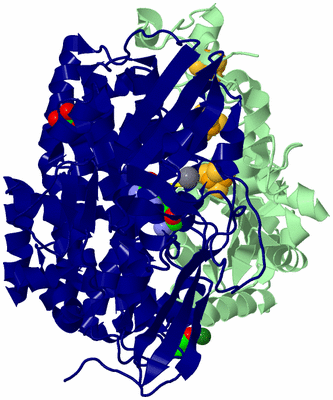 Image Biological Unit 5