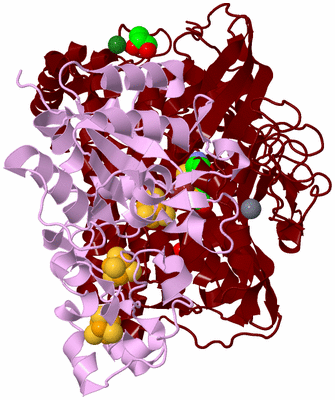 Image Biological Unit 6