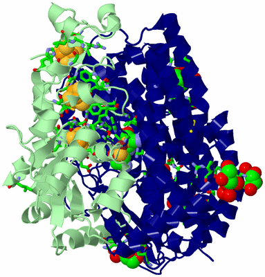 Image Biol. Unit 1 - sites