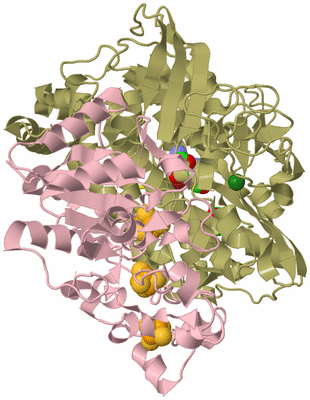 Image Biological Unit 2