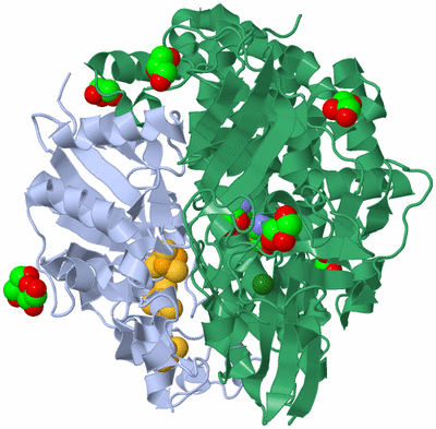 Image Biological Unit 3