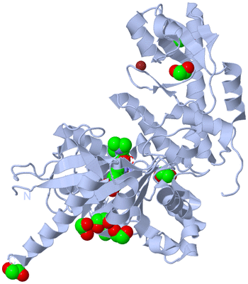 Image Biological Unit 1