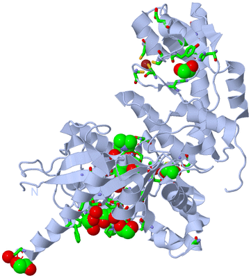 Image Biol. Unit 1 - sites