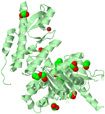 Image Biological Unit 2