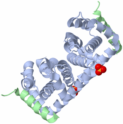 Image Biological Unit 1