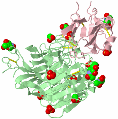 Image Biological Unit 1