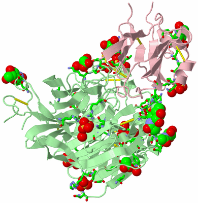 Image Biol. Unit 1 - sites