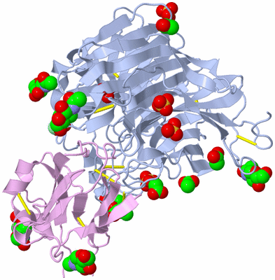 Image Biological Unit 2