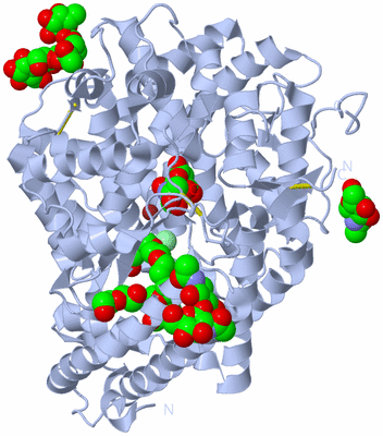 Image Biological Unit 1