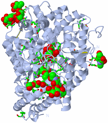 Image Biol. Unit 1 - sites