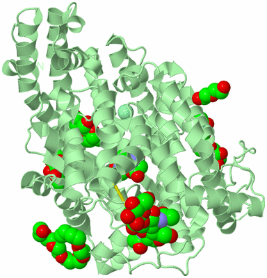 Image Biological Unit 2