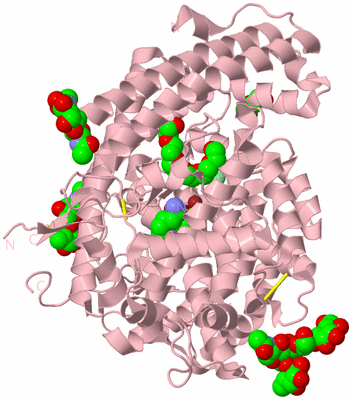 Image Biological Unit 3