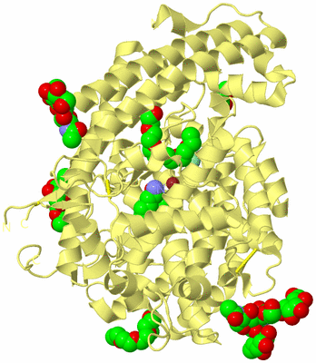 Image Biological Unit 4