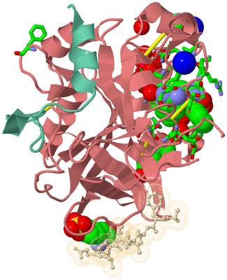 Image Asym./Biol. Unit - sites