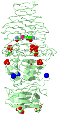 Image Biological Unit 1