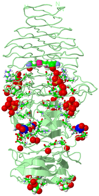 Image Biol. Unit 1 - sites