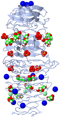 Image Biological Unit 2