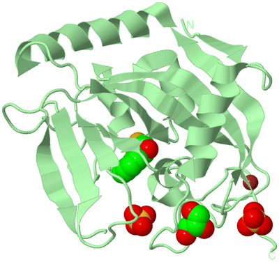 Image Biological Unit 2