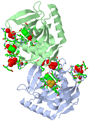 Image Asym. Unit - sites