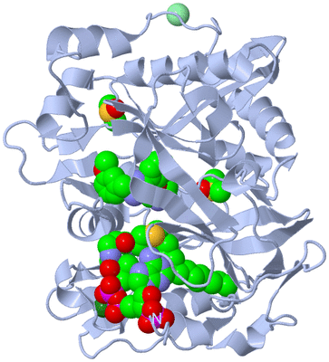 Image Biological Unit 1