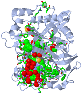 Image Biol. Unit 1 - sites