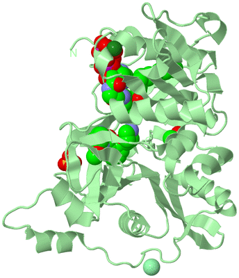 Image Biological Unit 2