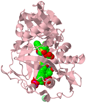 Image Biological Unit 3