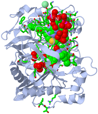 Image Biol. Unit 1 - sites