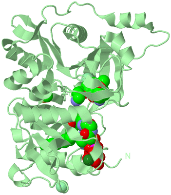 Image Biological Unit 2