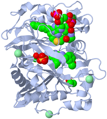 Image Biological Unit 1