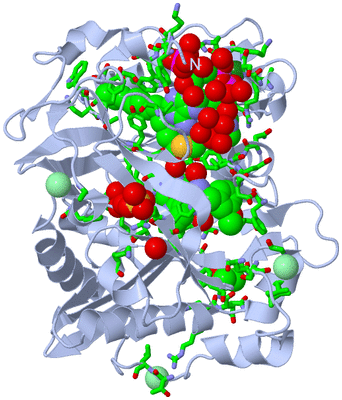 Image Biol. Unit 1 - sites