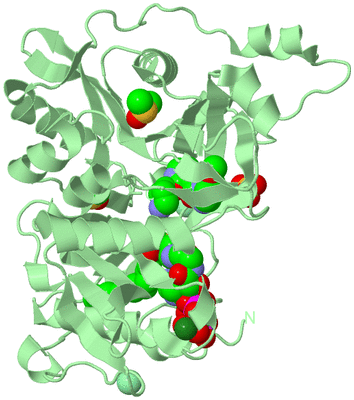 Image Biological Unit 2