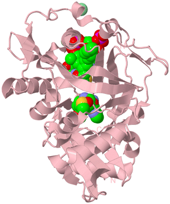 Image Biological Unit 3