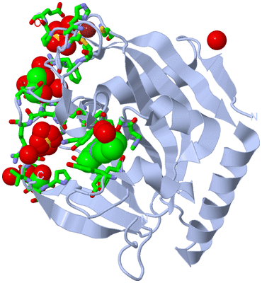 Image Biol. Unit 1 - sites