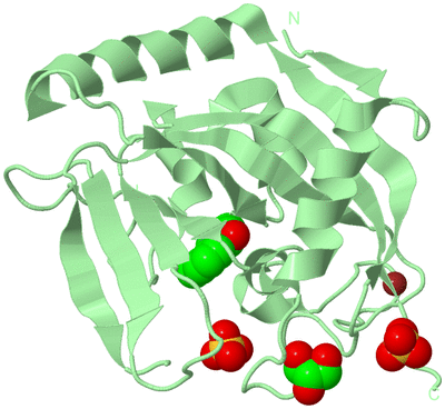 Image Biological Unit 2