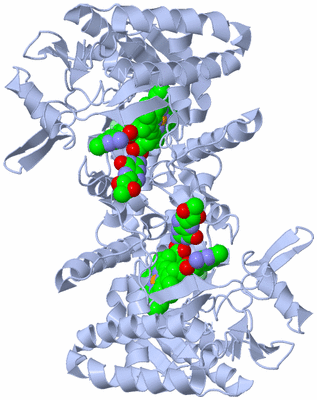 Image Biological Unit 1