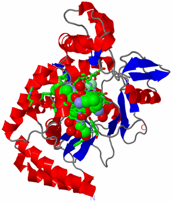 Image Asym. Unit - sites