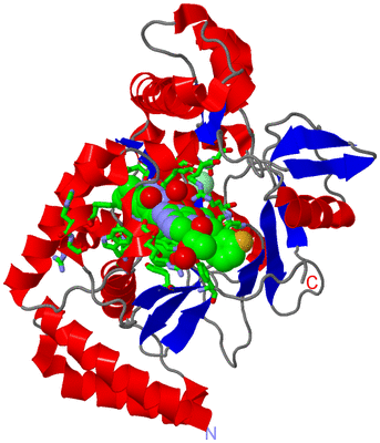 Image Asym. Unit - sites