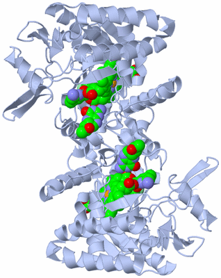 Image Biological Unit 1