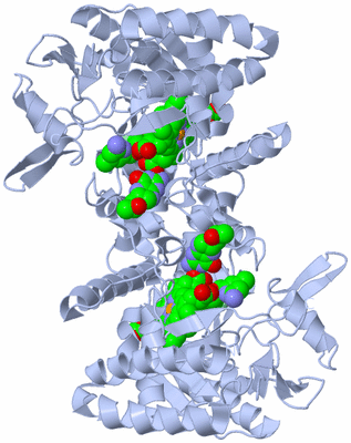 Image Biological Unit 1