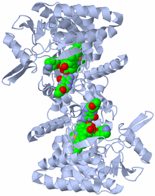 Image Biological Unit 1