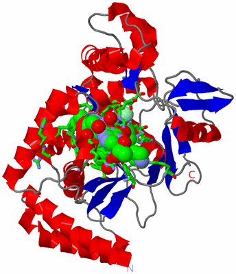 Image Asym. Unit - sites