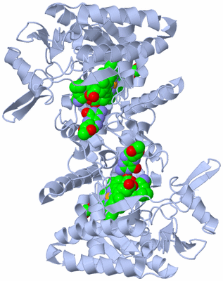 Image Biological Unit 1