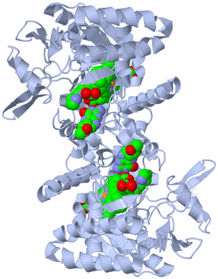 Image Biological Unit 1