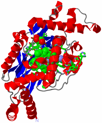 Image Asym. Unit - sites