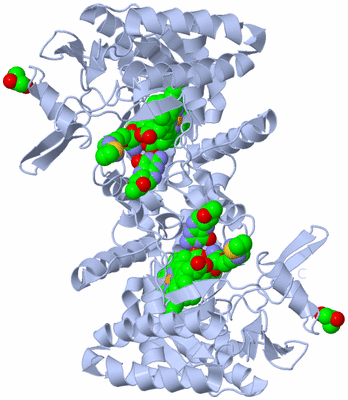 Image Biological Unit 1