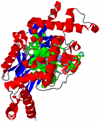 Image Asym. Unit - sites