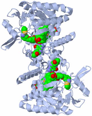 Image Biological Unit 1